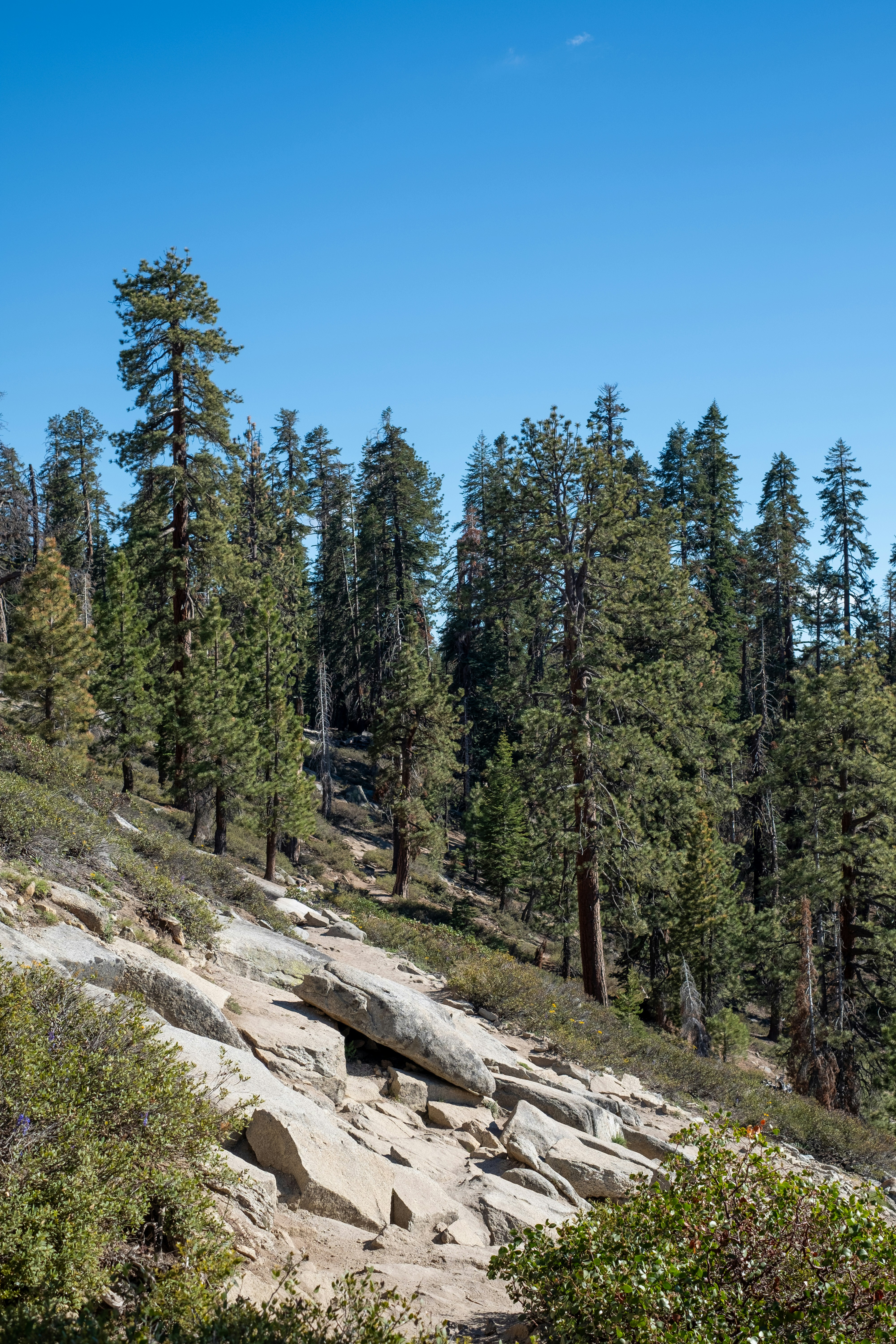 Photo by correliebre