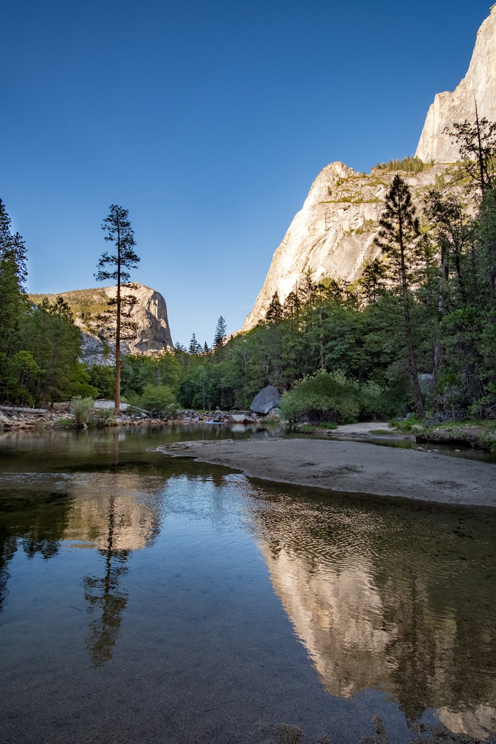 a river surrounded by trees and mountains under a blue sky