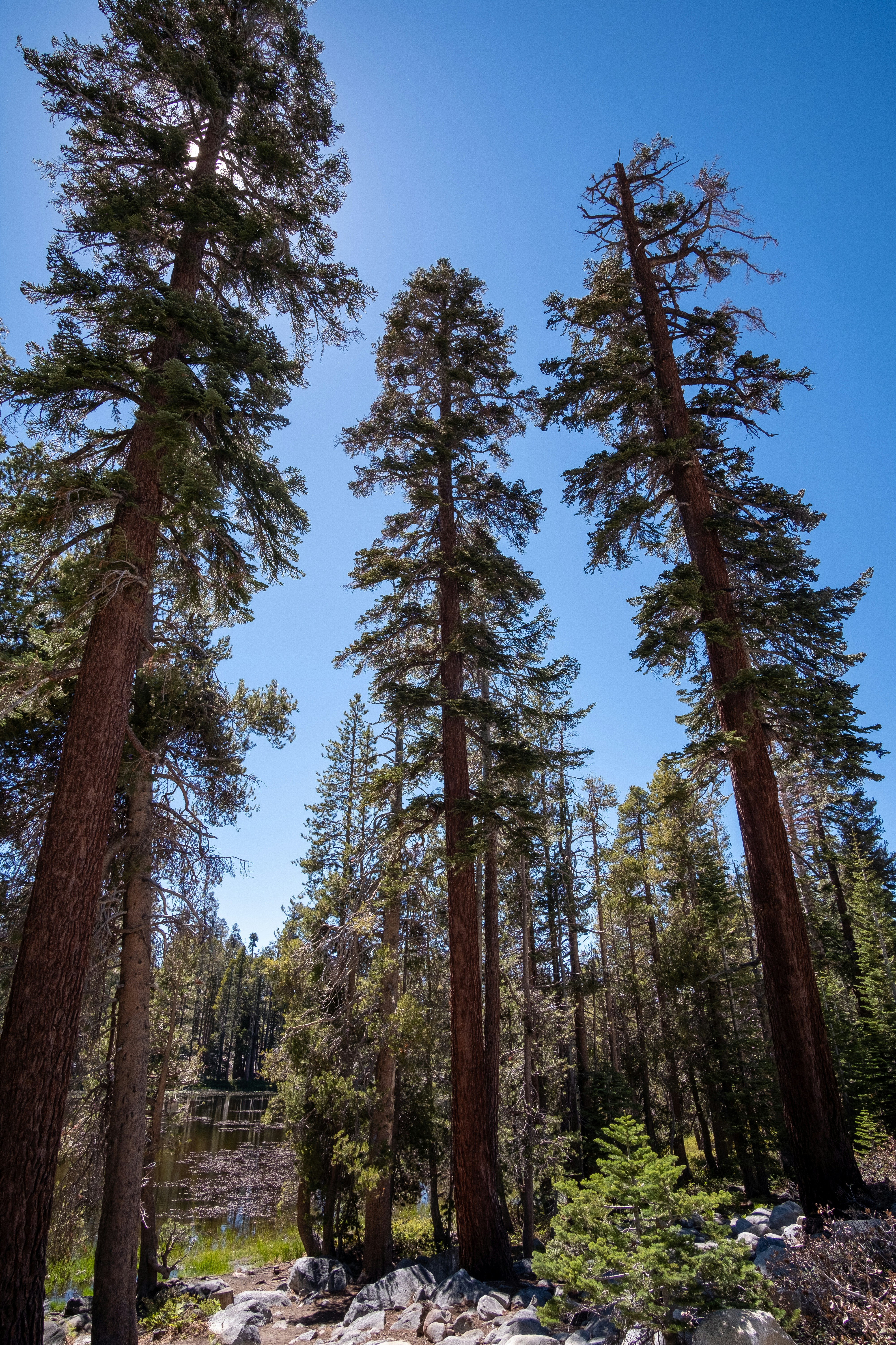 Photo by correliebre