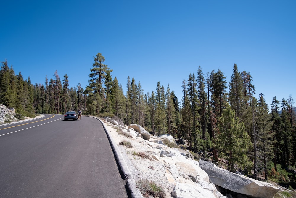 a car driving down a road next to a forest