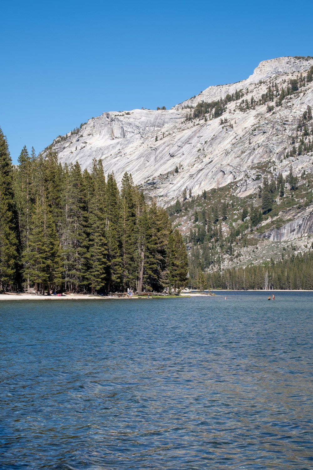 a large body of water surrounded by trees