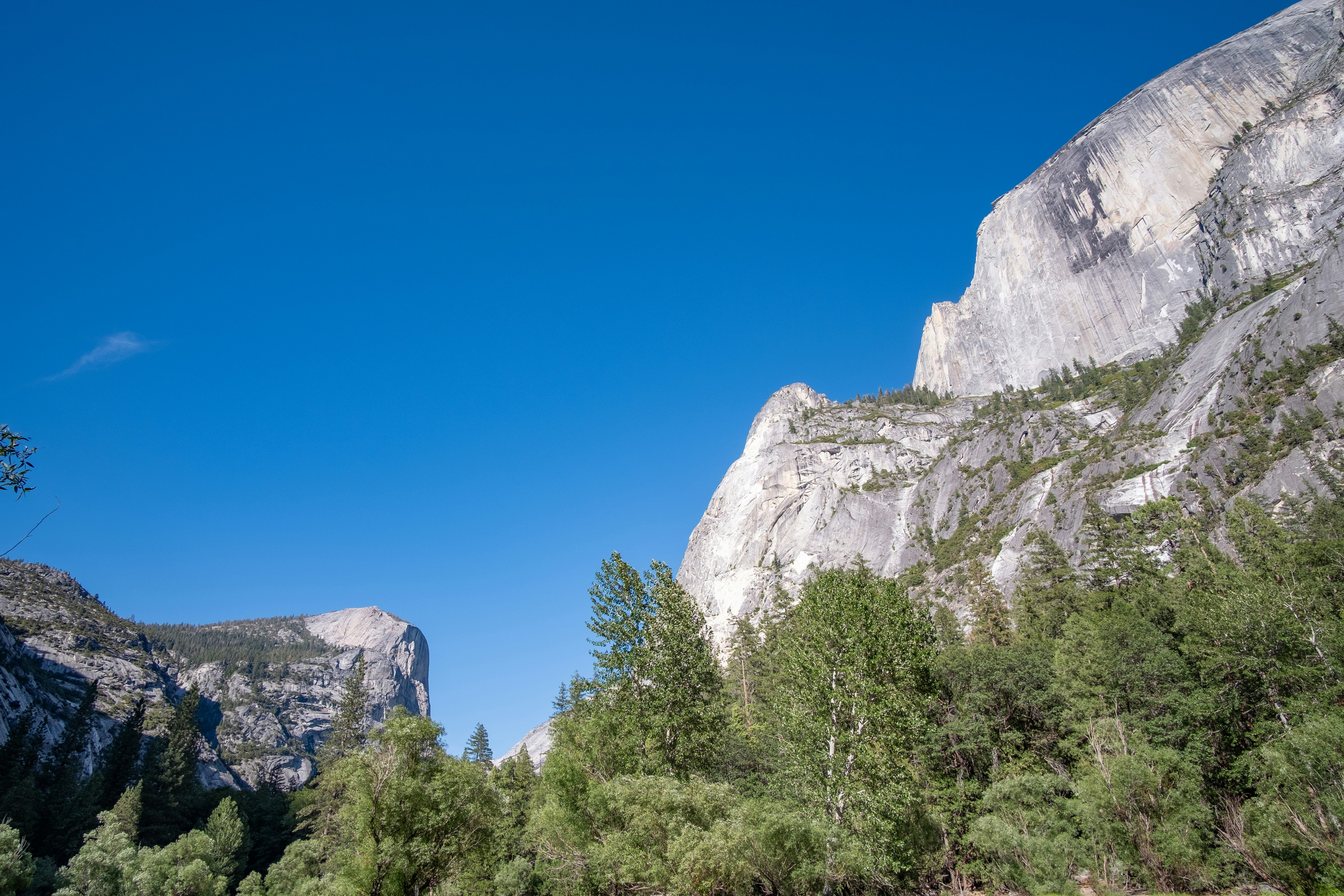 Photo by correliebre