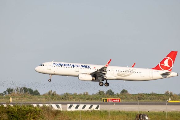 A Turkish Airlines aircraft is captured in mid-air as it approaches for landing. The plane is white with a distinctive red tail fin featuring the airline's logo. The landing gear is deployed and the runway is visible below, surrounded by grass and a safety barrier. The sky is clear and the scene is set during daytime.