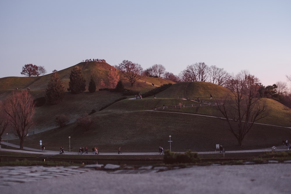 a group of people walking up a hill