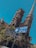 A tall, ornate building with intricate architectural details and pointed spires is seen in the background. In the foreground, a signpost covered in numerous colorful stickers points to Buenos Aires, with blue skies overhead.