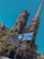 A tall, ornate building with intricate architectural details and pointed spires is seen in the background. In the foreground, a signpost covered in numerous colorful stickers points to Buenos Aires, with blue skies overhead.