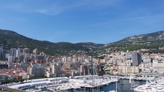 a harbor filled with lots of boats next to a city