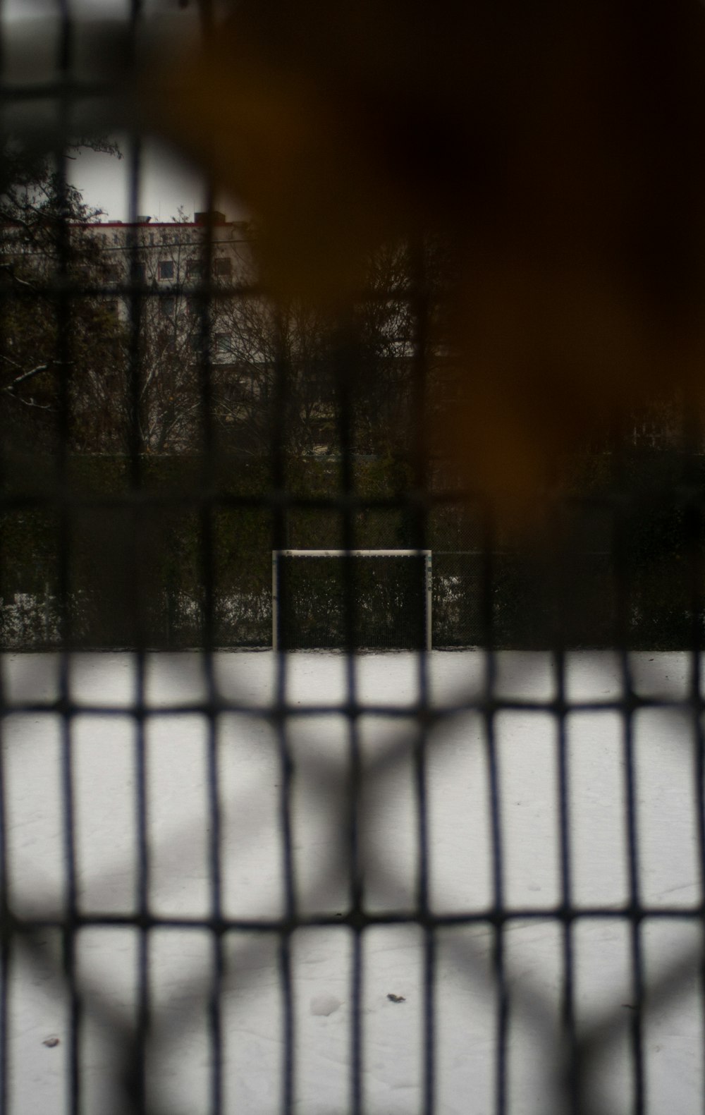 a blurry photo of a soccer goal in the snow