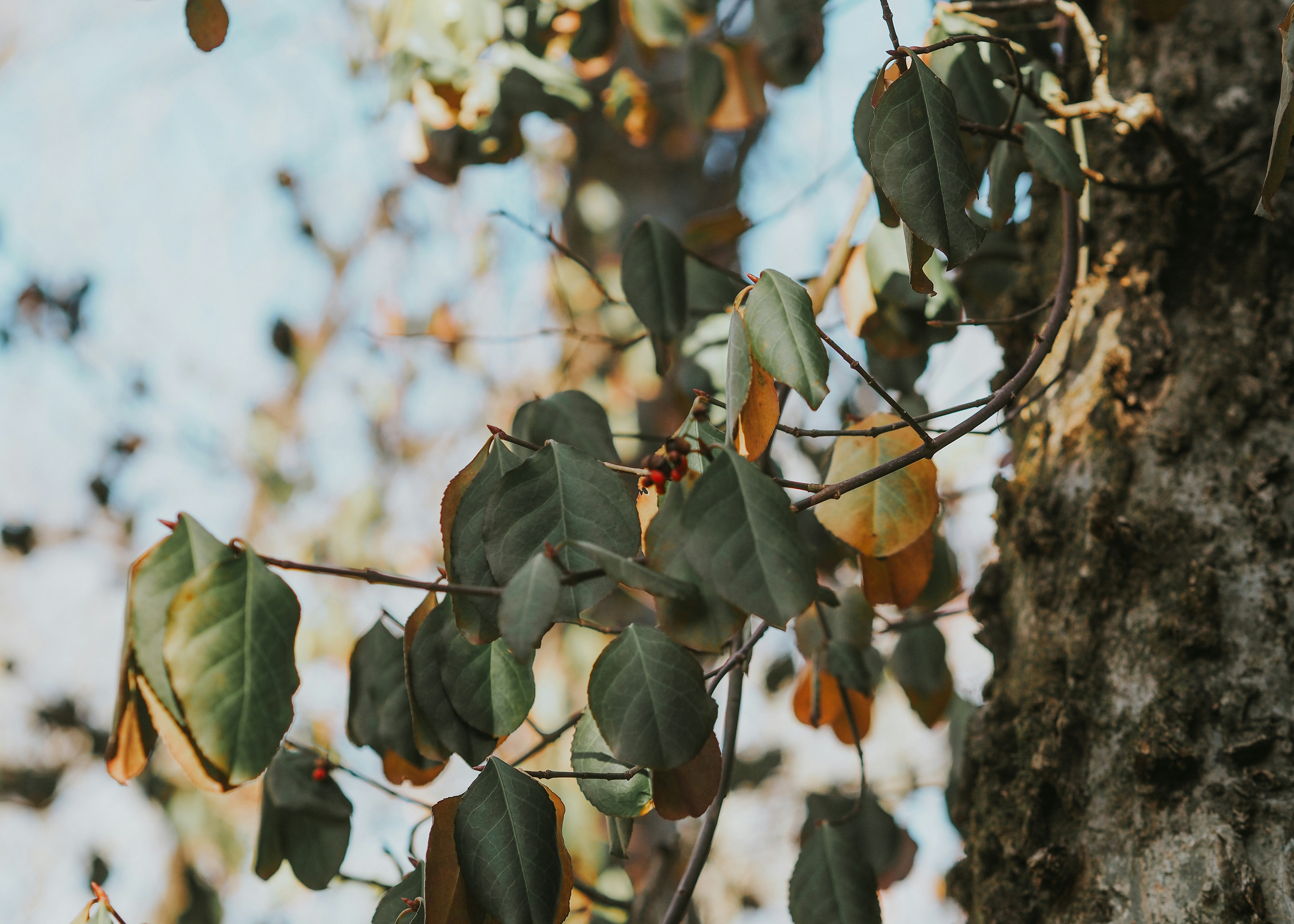 Photo by fieldworkframes