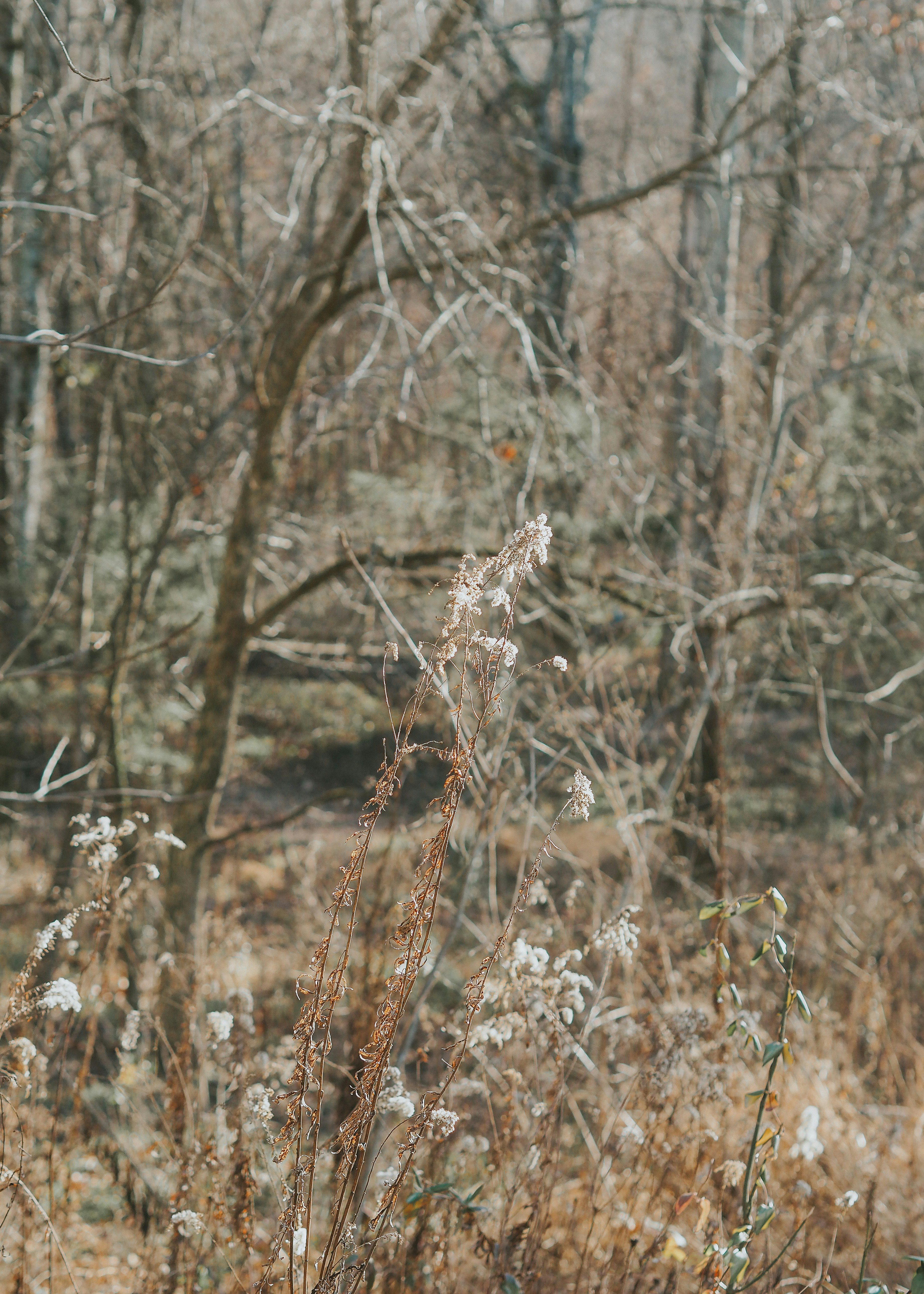 Photo by fieldworkframes