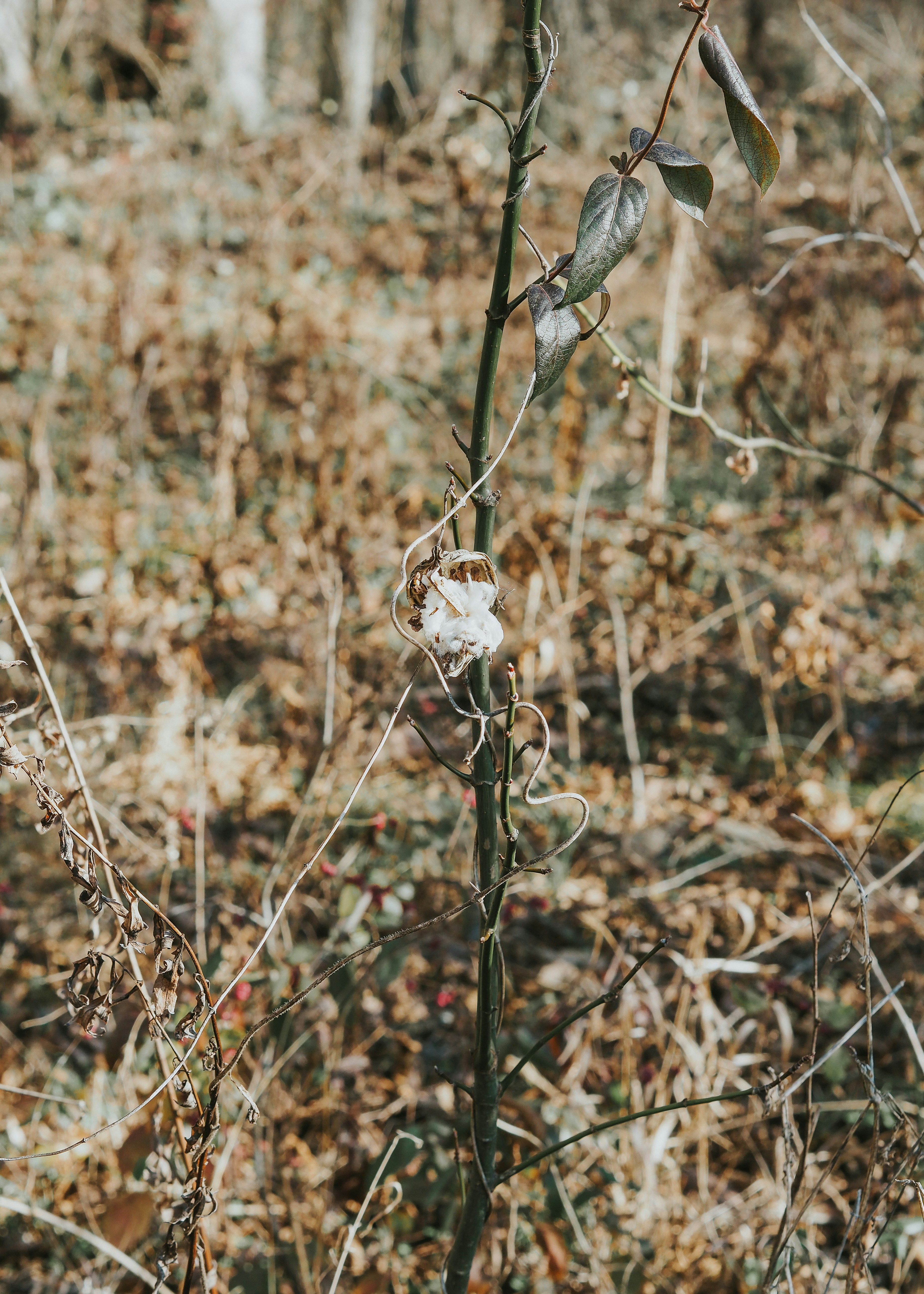 Photo by fieldworkframes