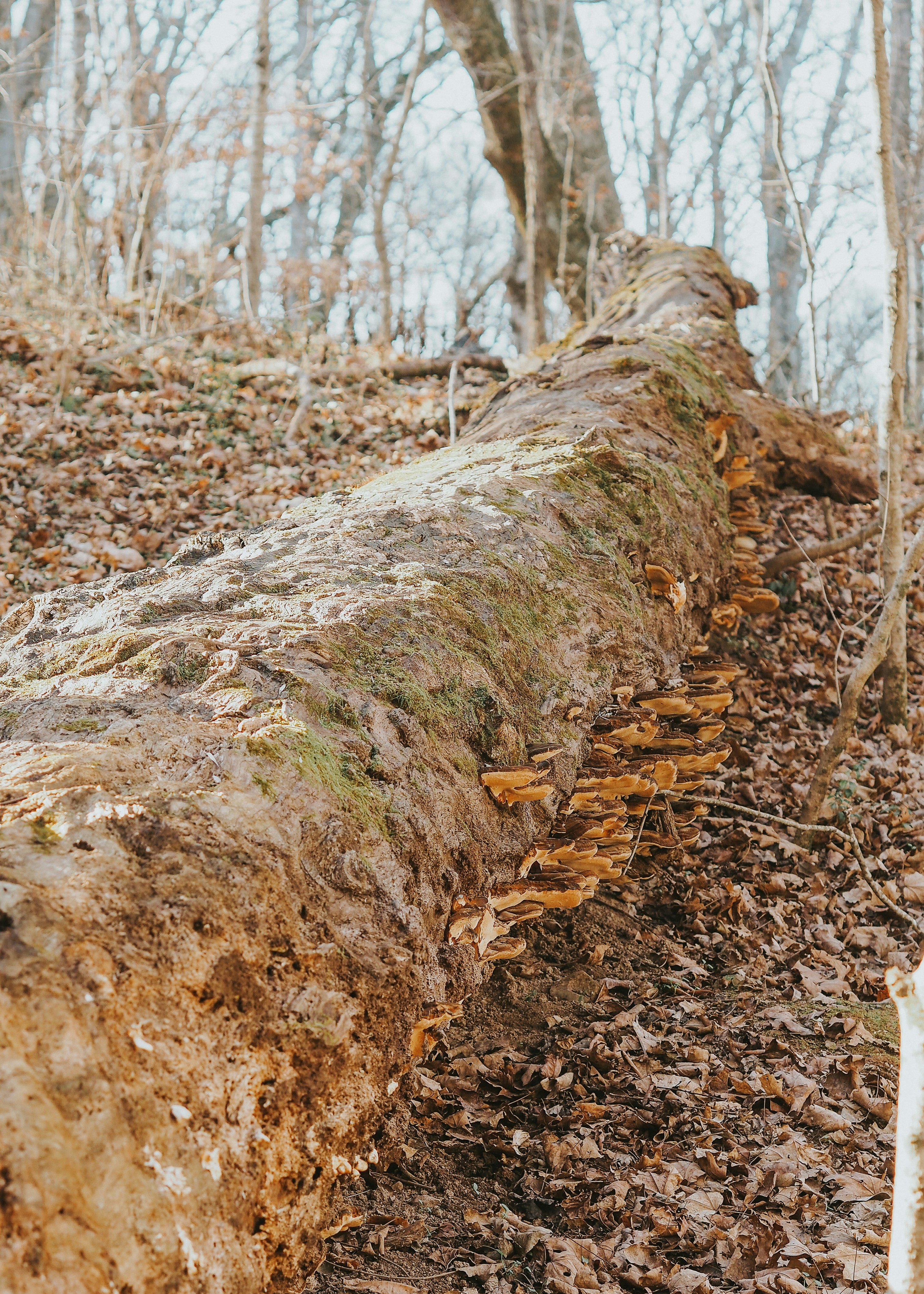 Photo by fieldworkframes