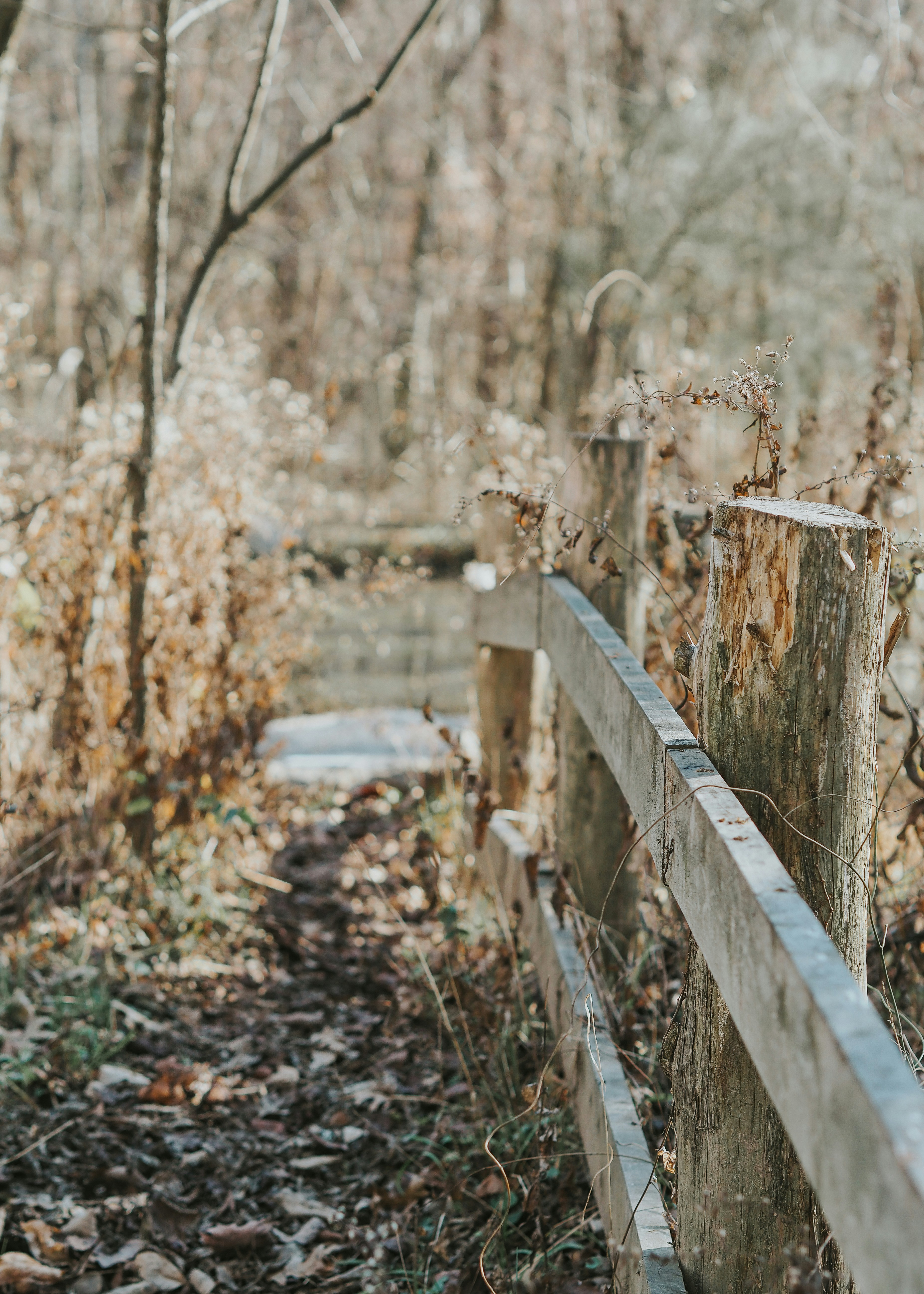 Photo by fieldworkframes