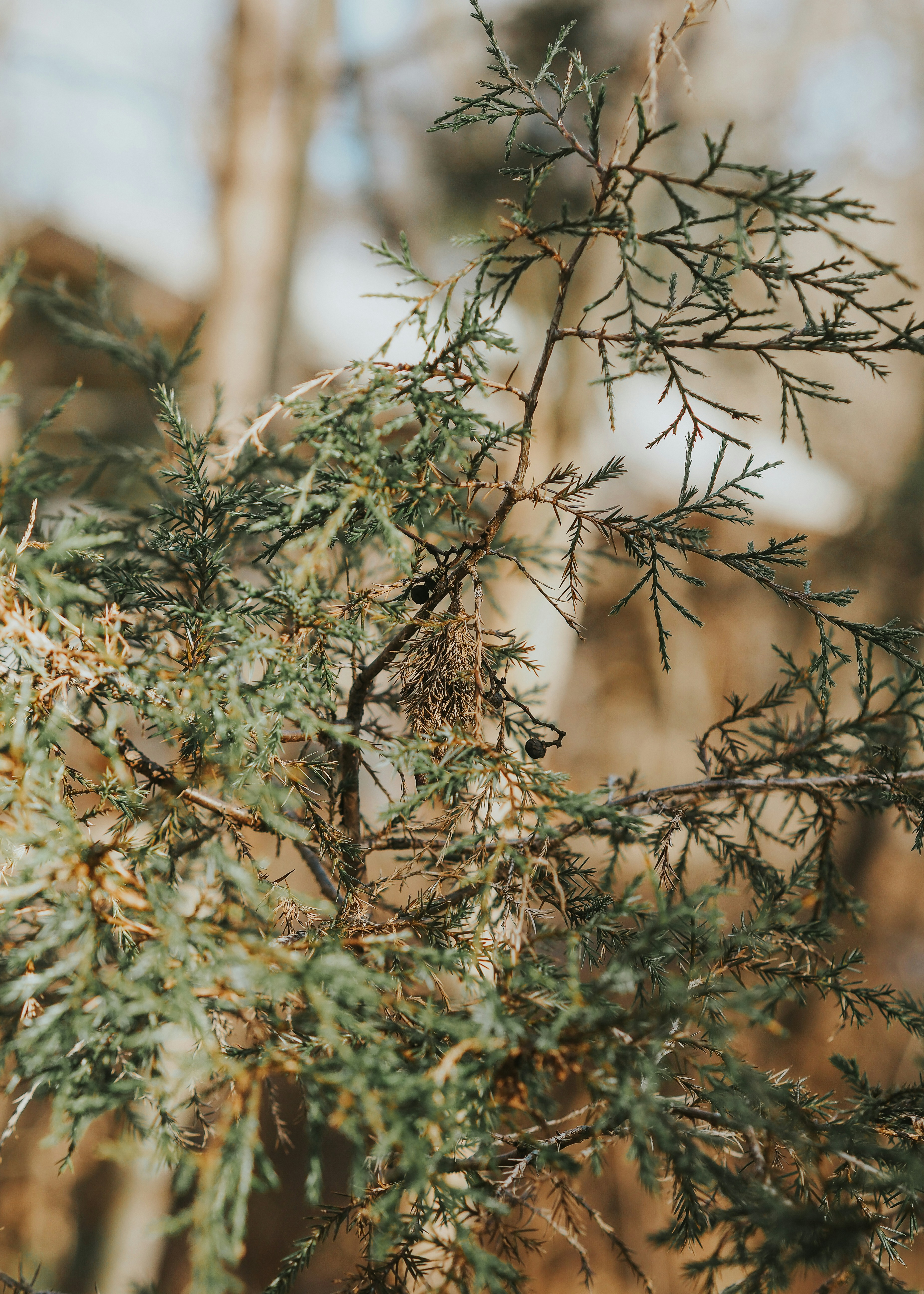 Photo by fieldworkframes