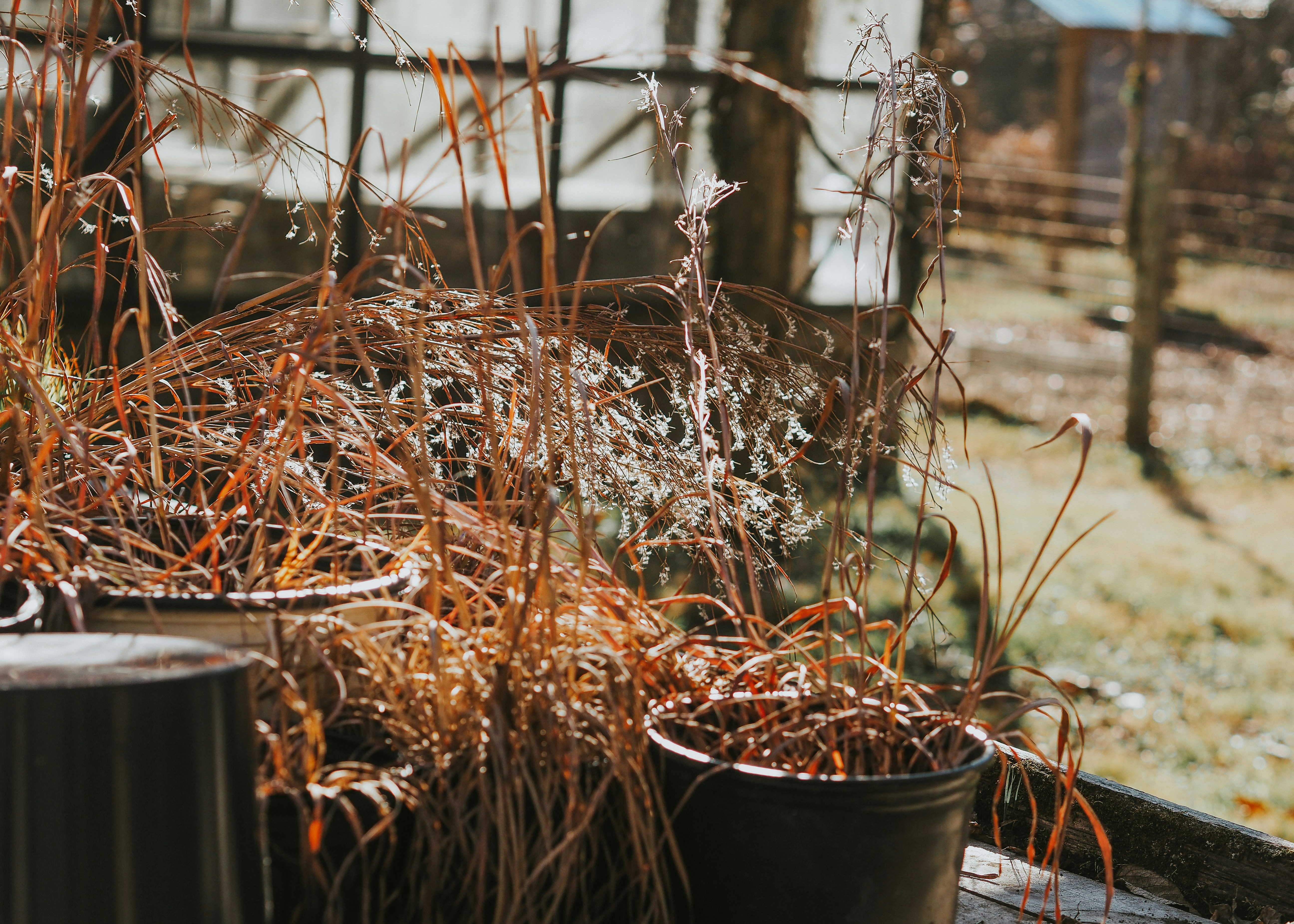 Photo by fieldworkframes