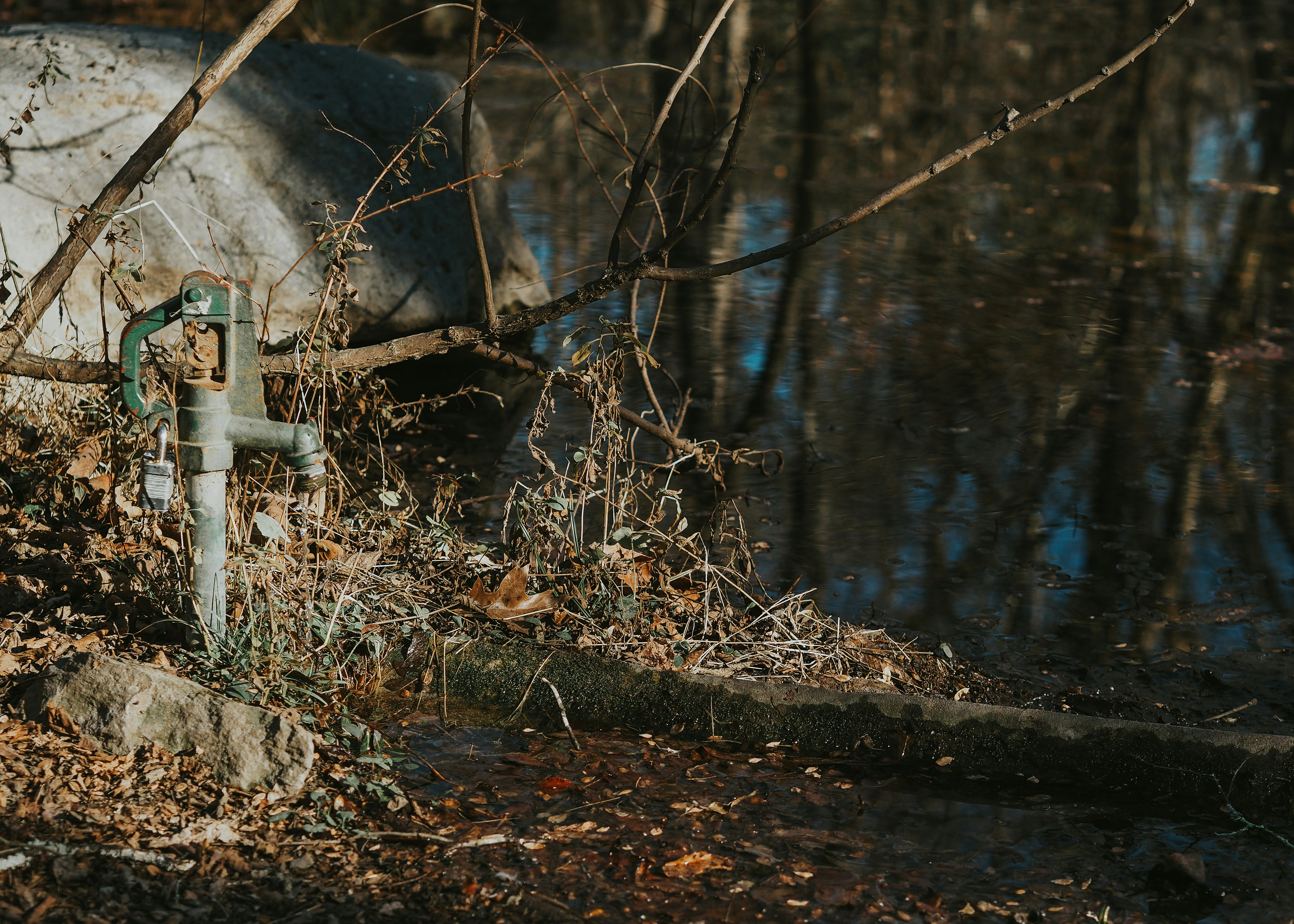 Photo by fieldworkframes