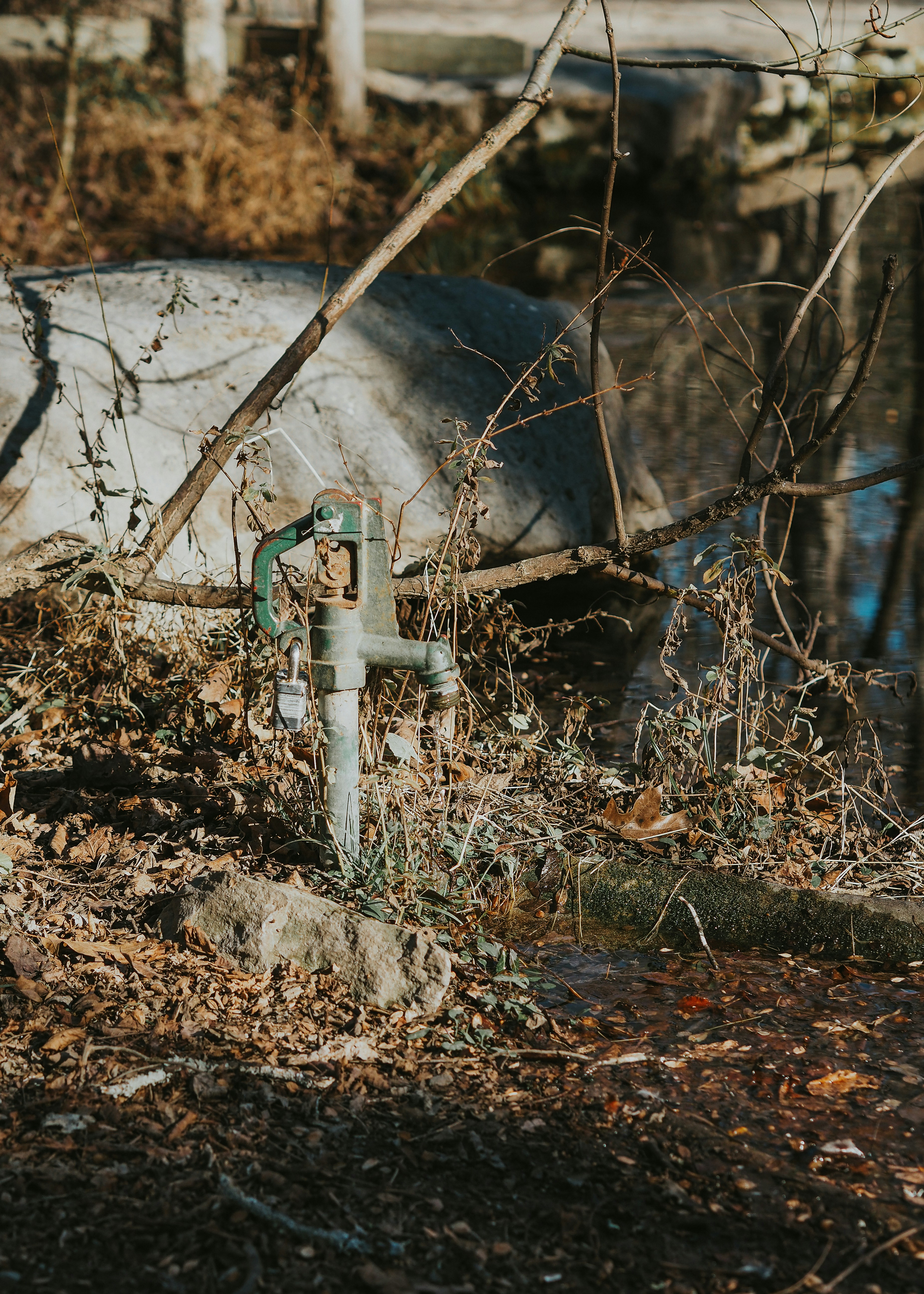 Photo by fieldworkframes