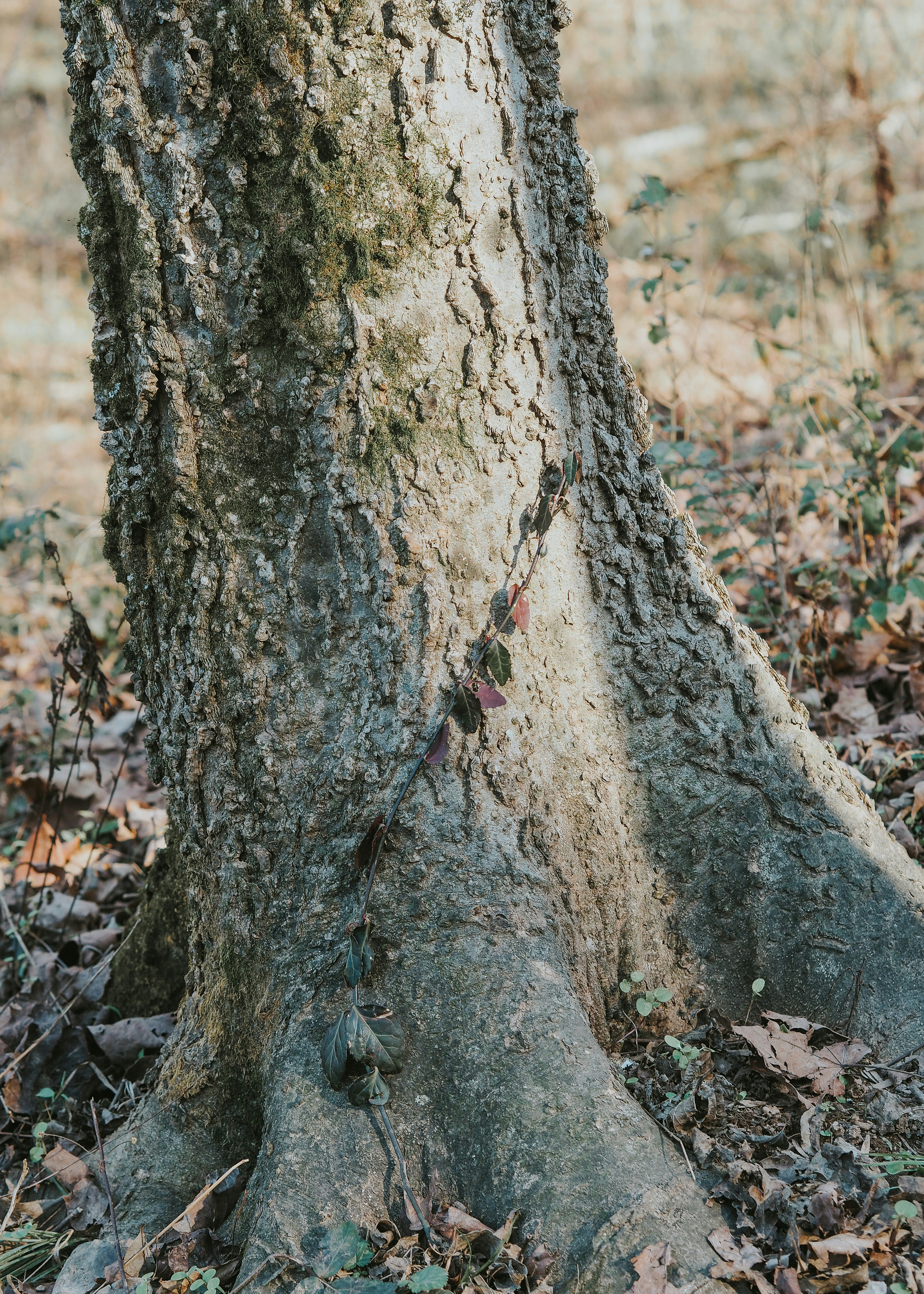 Photo by fieldworkframes