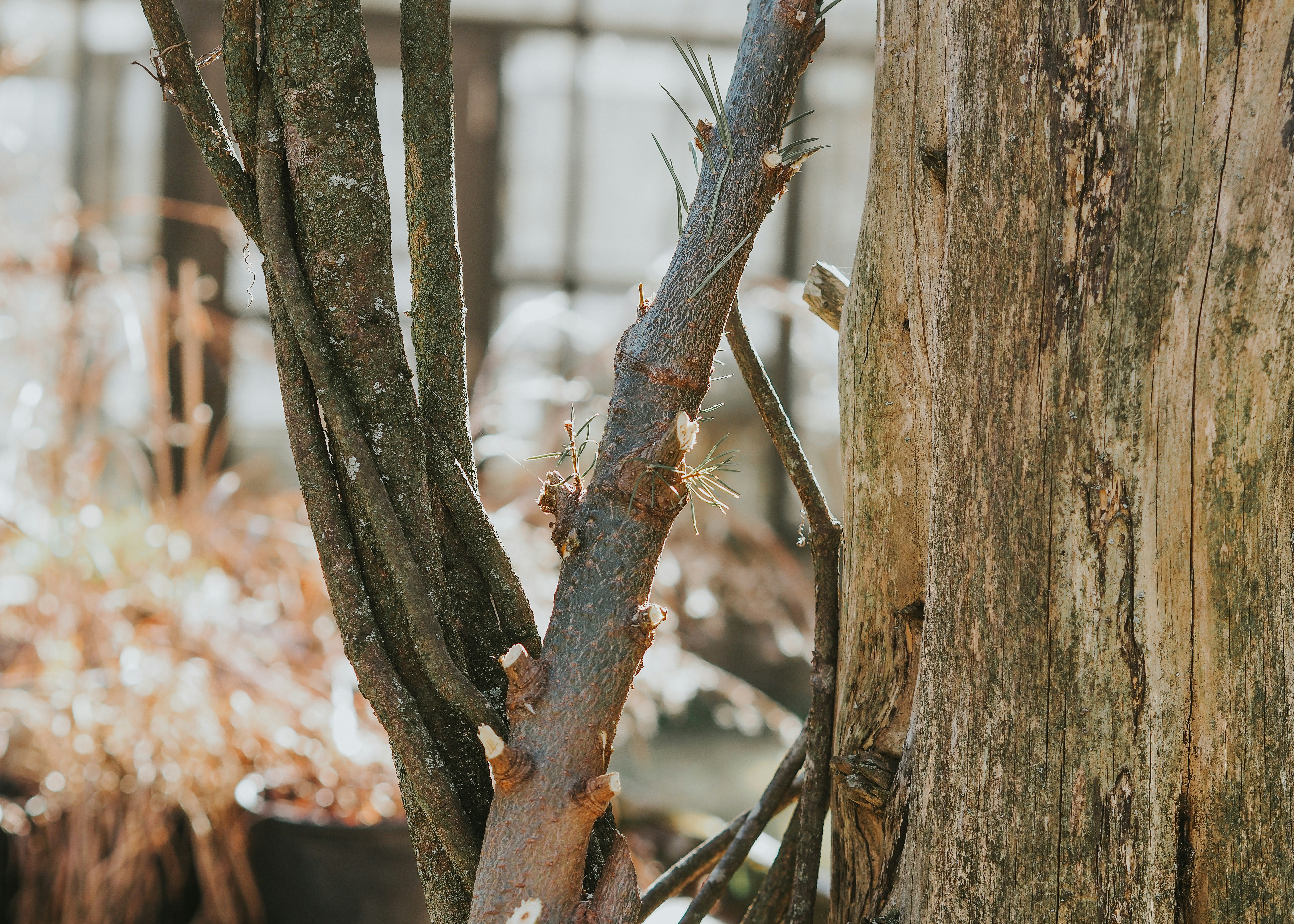 Photo by fieldworkframes