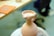A handcrafted clay jug with a curved handle and unfinished surface rests on a pottery wheel. The background is slightly blurred, with hints of a workspace including an orange notebook.
