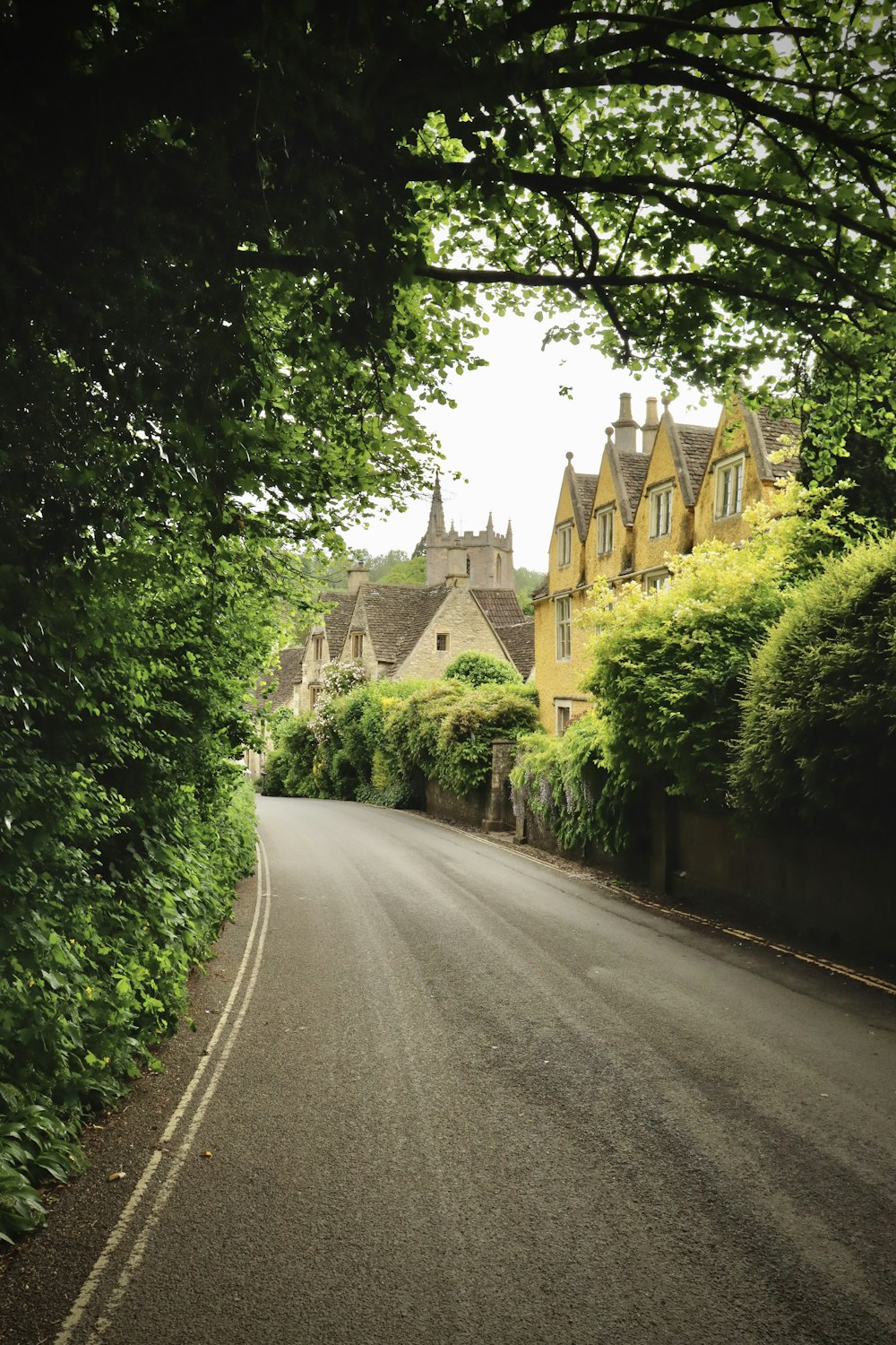 a street lined with lush green trees and houses