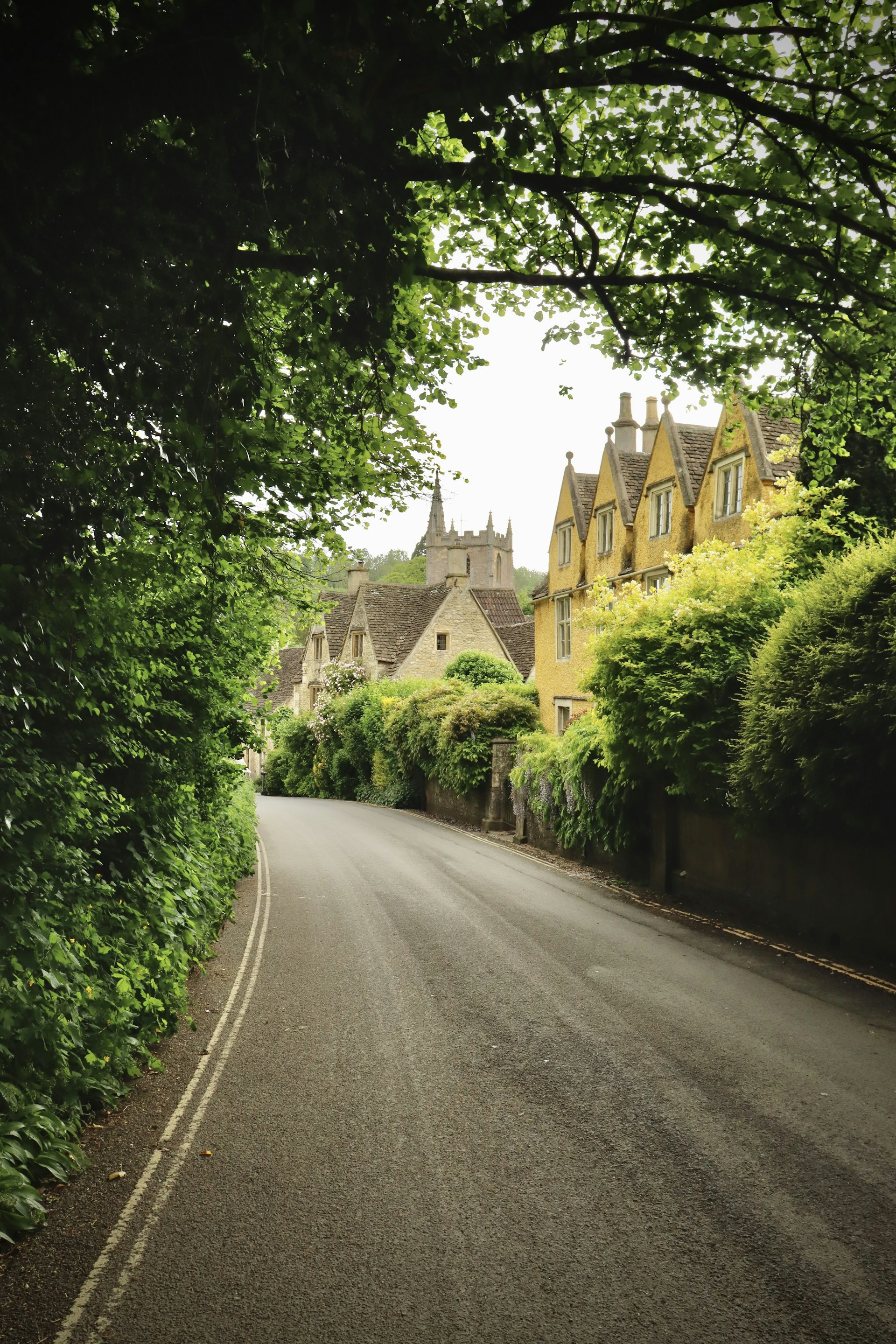 Sunlit English residential street with trees and houses