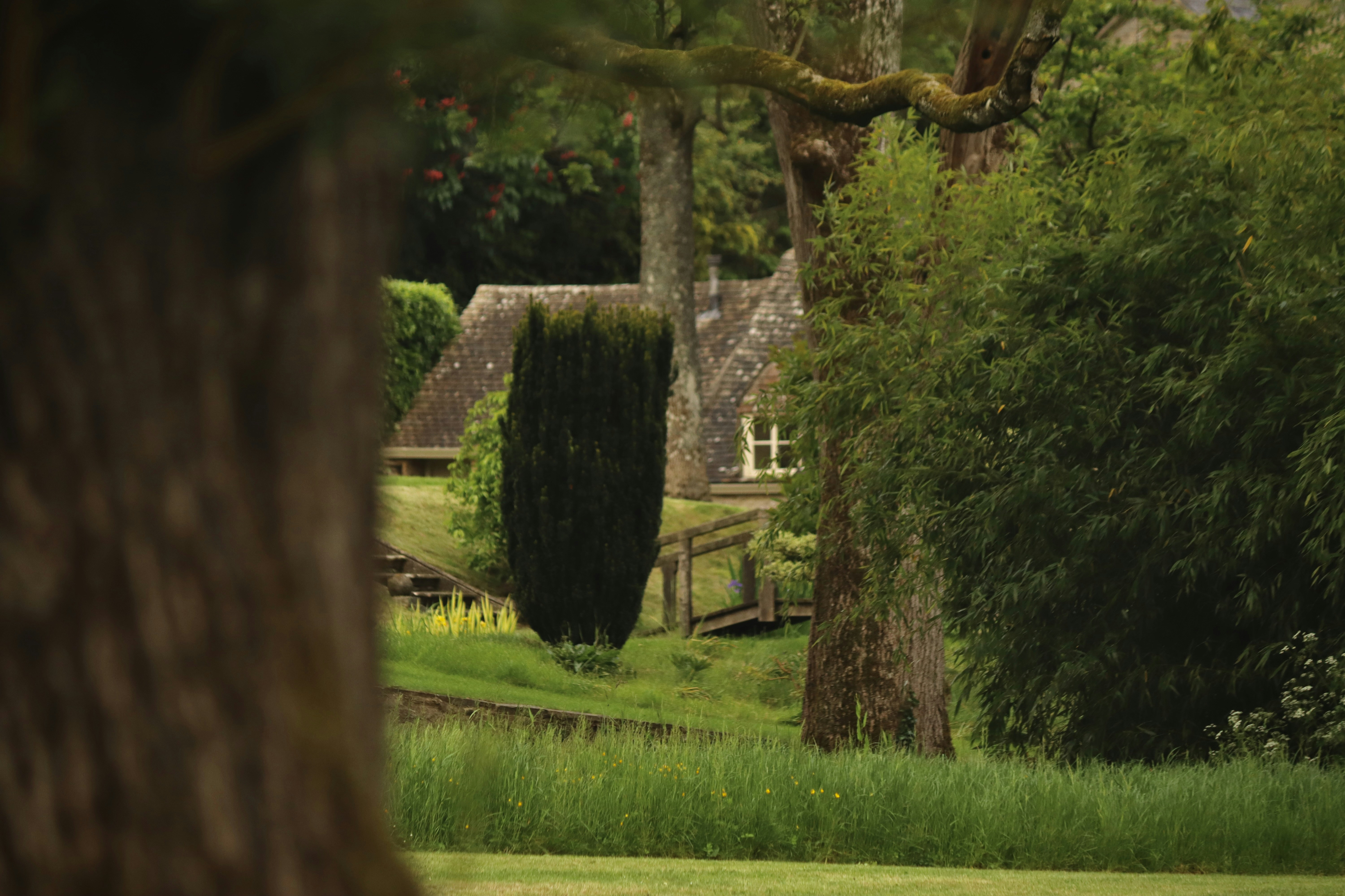 Photo by josh3rsmith