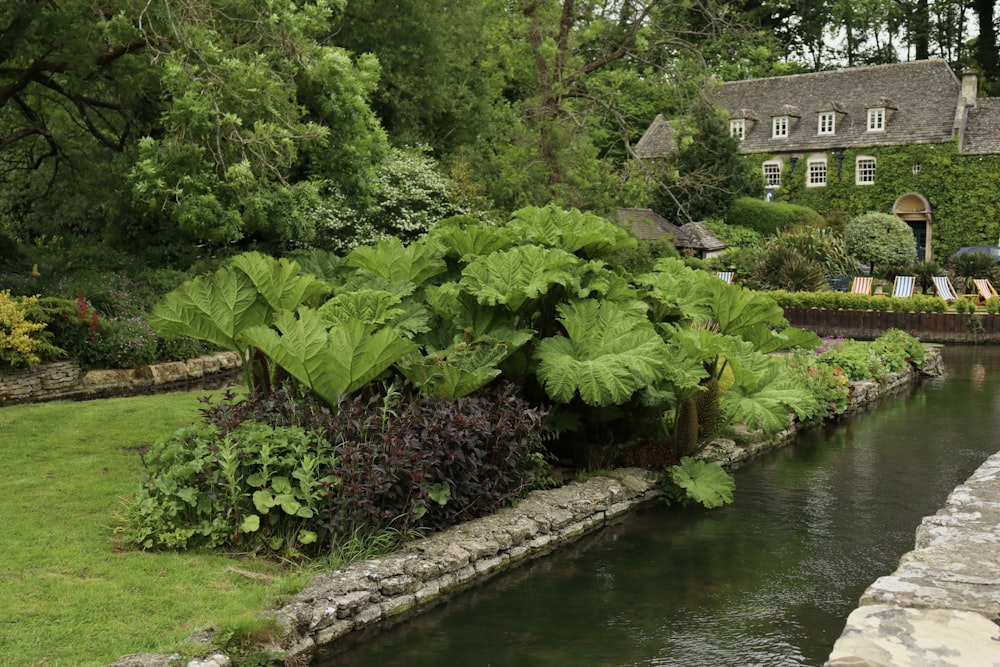 a river running through a lush green forest