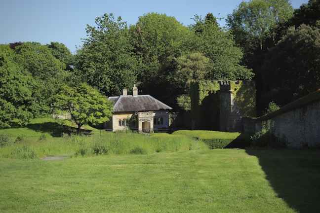 a house in the middle of a lush green field