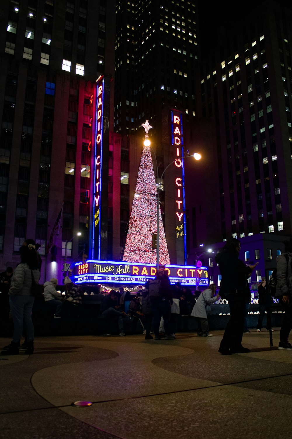 a large christmas tree is lit up in the city