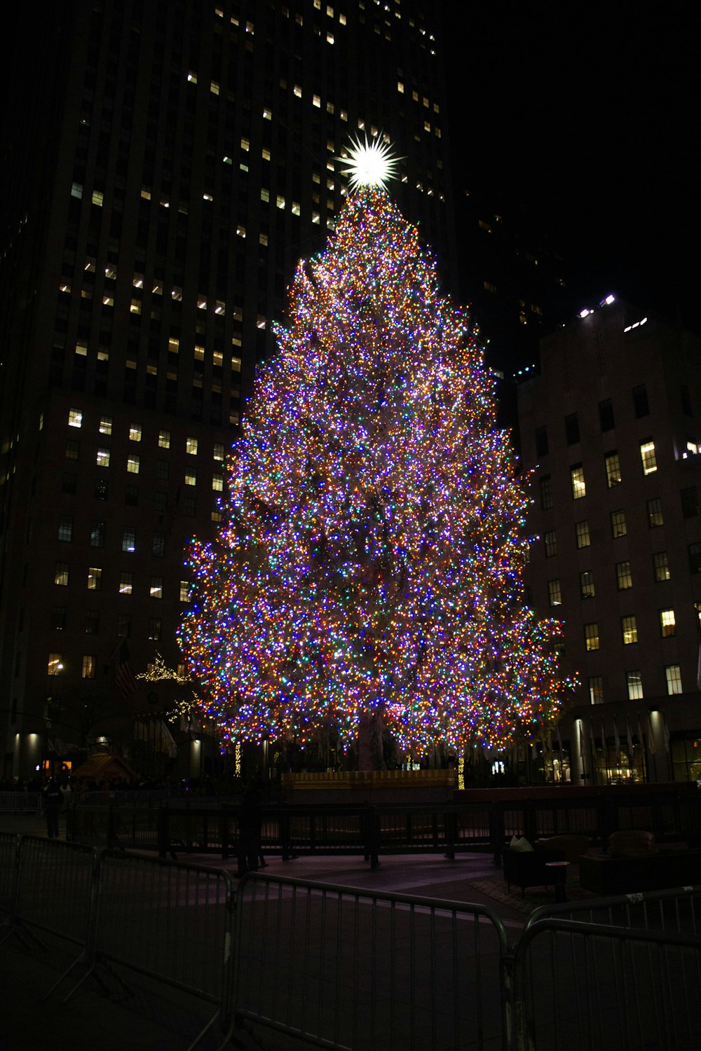 Un grande albero di Natale è illuminato in città