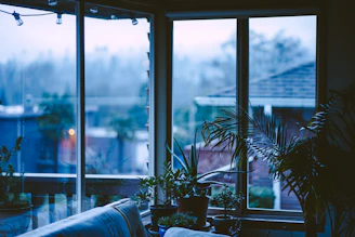A serene, sunlit living room with elegant furnishings and lush greenery by the window.