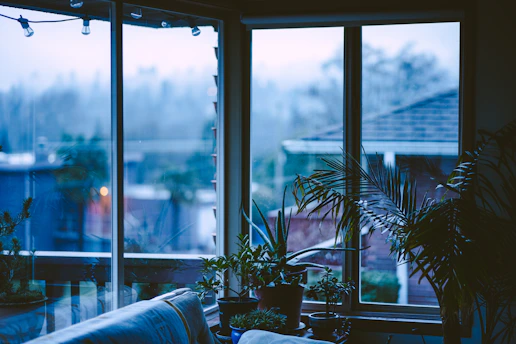 A serene, sunlit living room with elegant furnishings and lush greenery by the window.