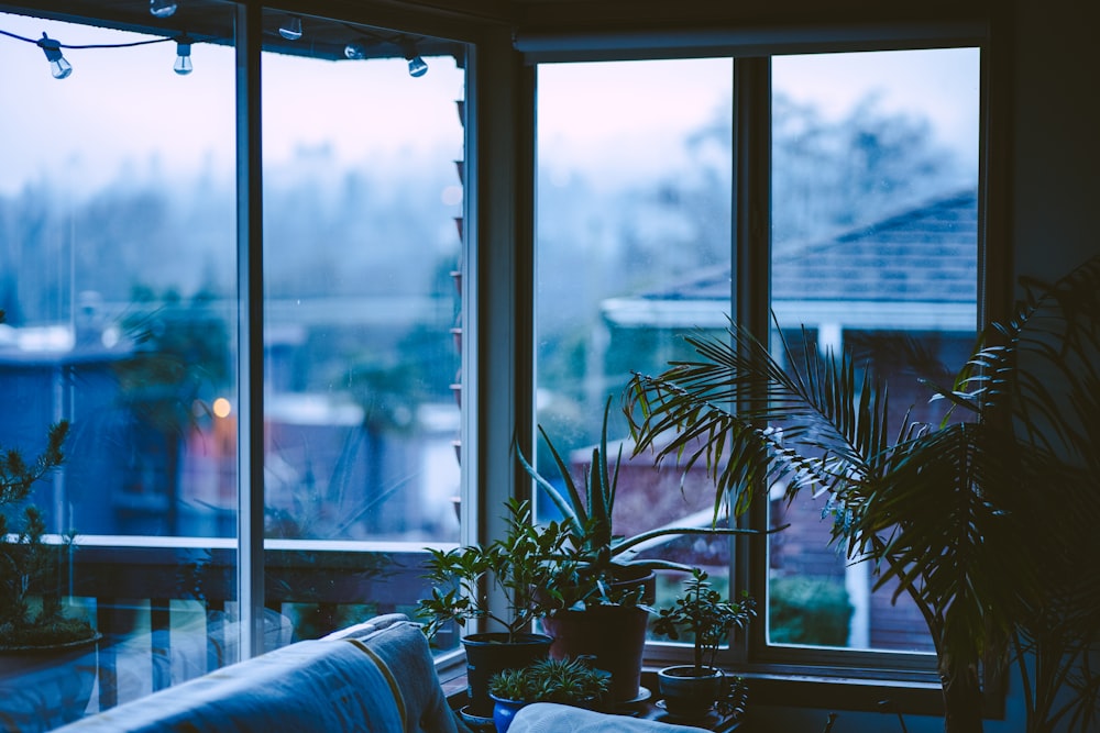 a living room filled with furniture and lots of windows