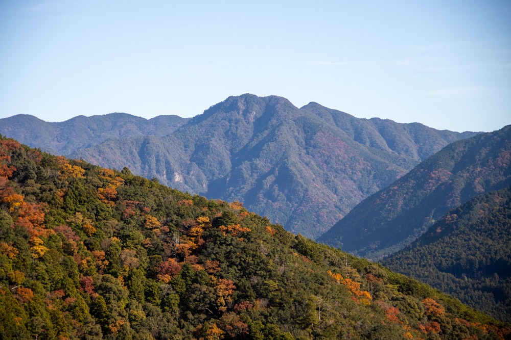 a view of a mountain range with trees in the foreground