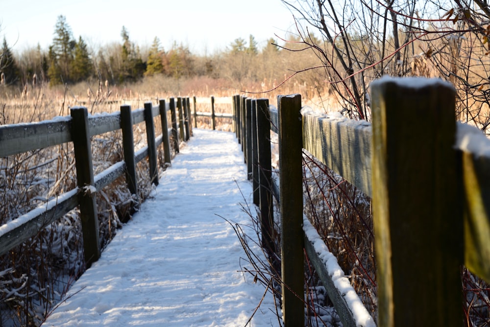 a snow covered path leading to a field