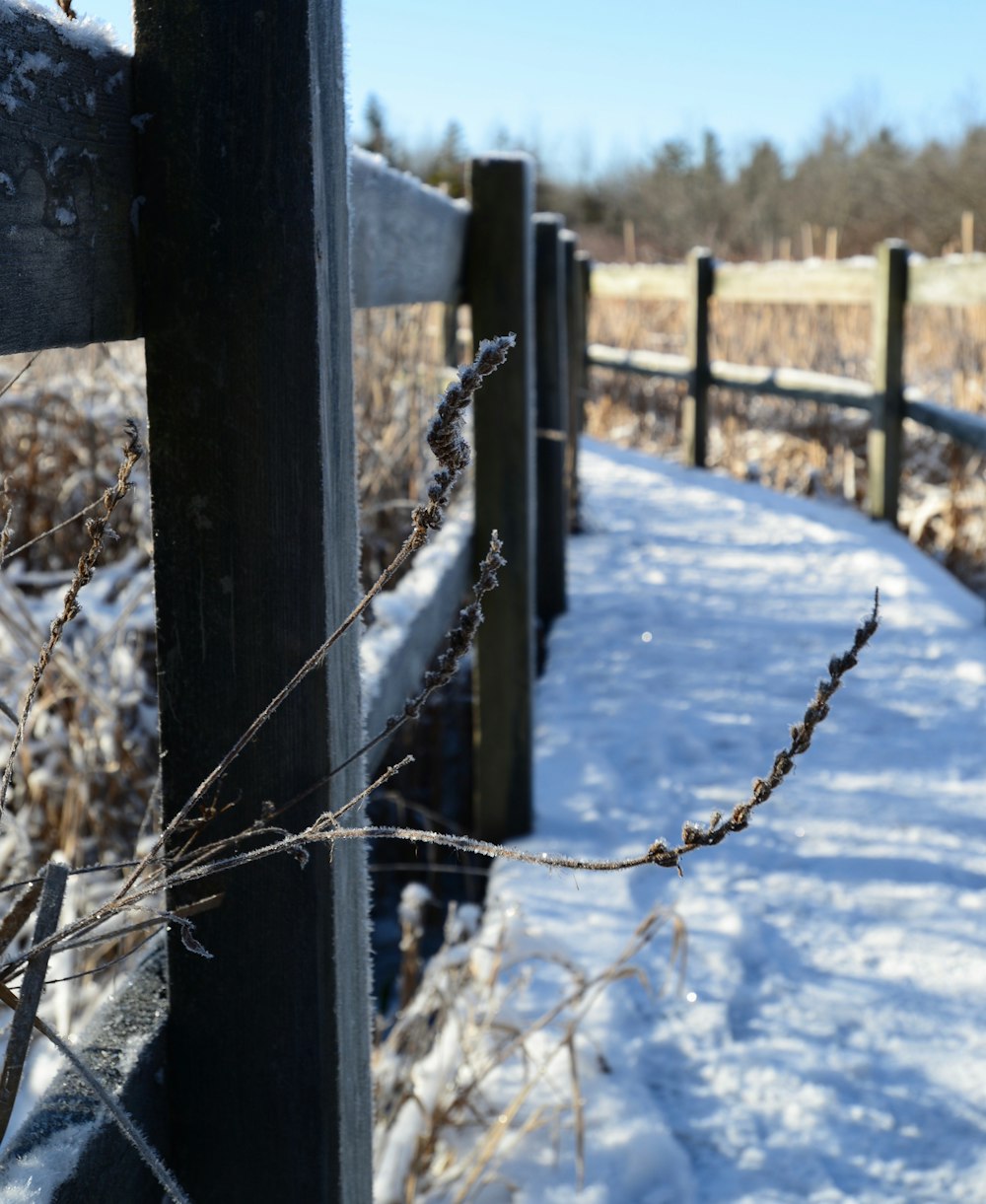 a snowy path with a wooden fence in the background
