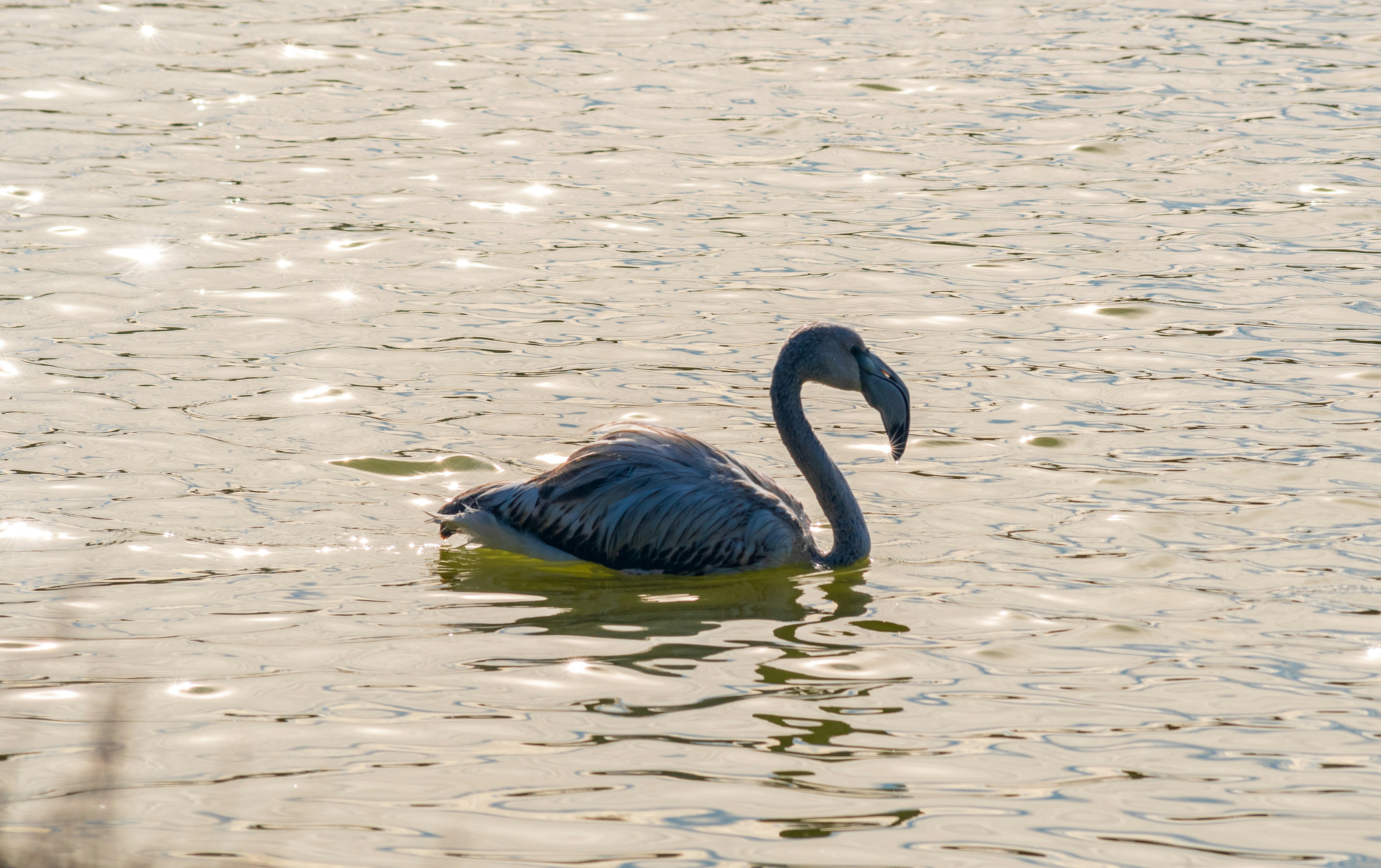 Photo by nataliaraylenegusakova