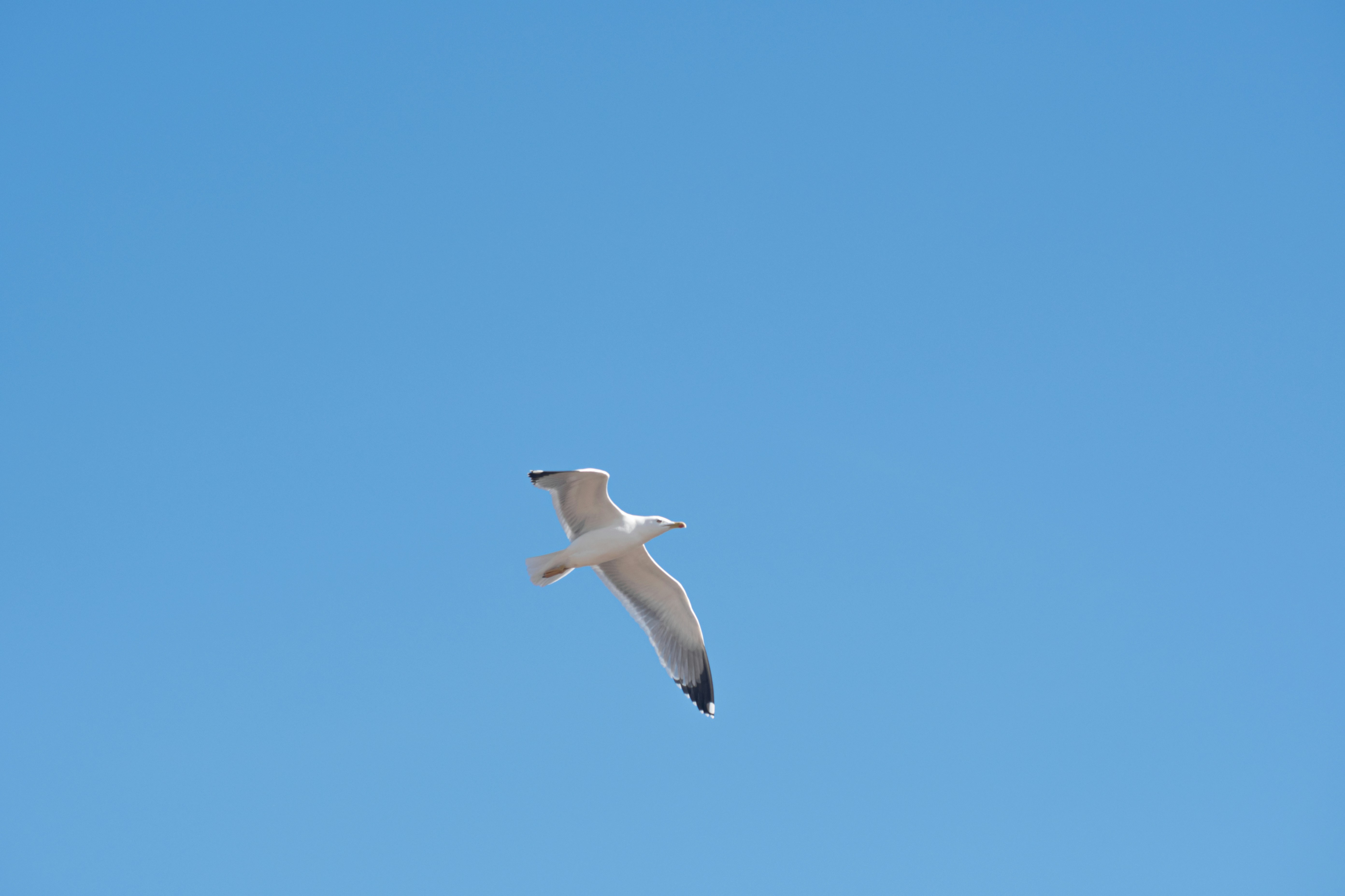 Photo by nataliaraylenegusakova