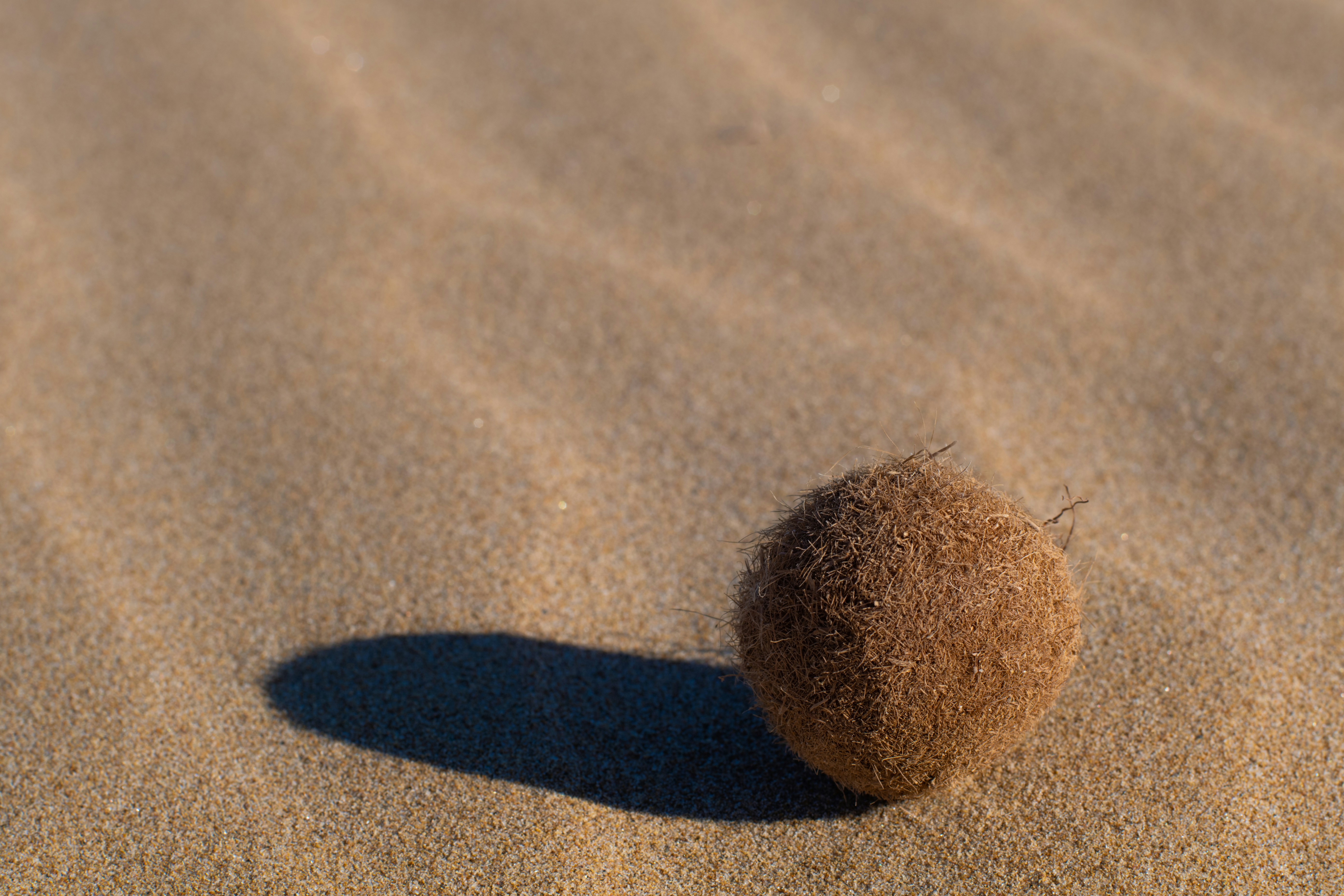 Photo by nataliaraylenegusakova