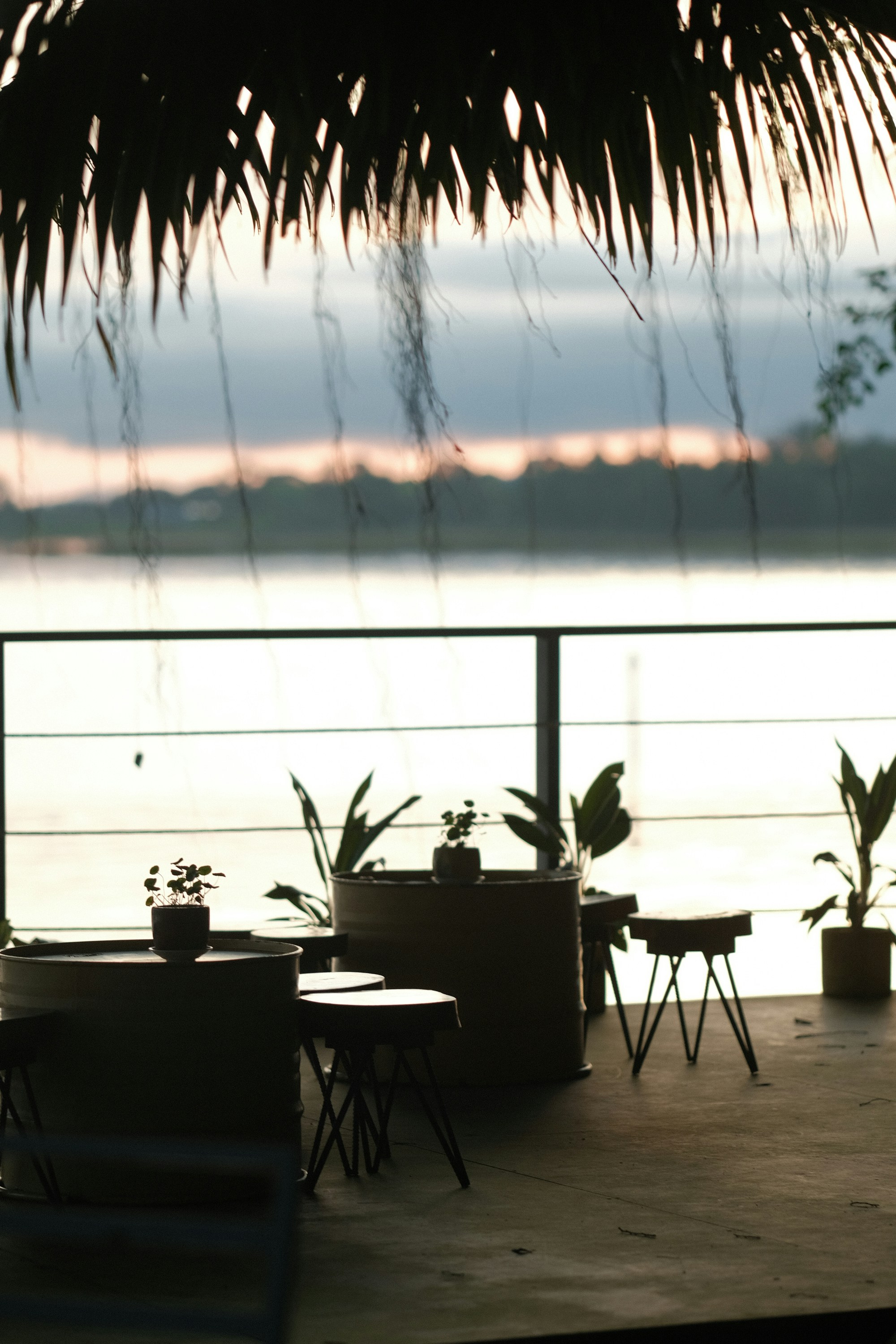 Photo by nguyentrungnguyen