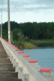 A concrete bridge with red-topped posts stretches across a body of water, bordered by lush green trees in the background. A small bird is perched on one of the posts, adding a touch of life to the serene scene. The overcast sky above casts a calm atmosphere.