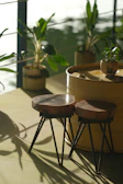 A collection of Lega carved stools displayed outdoors on grass.