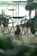 A small, fluffy dog sits on a floor surrounded by metal-framed chairs and tables. The setting resembles a cozy cafe with potted plants and outdoor views. There is natural light coming from outside, giving the scene a relaxed and tranquil ambiance.