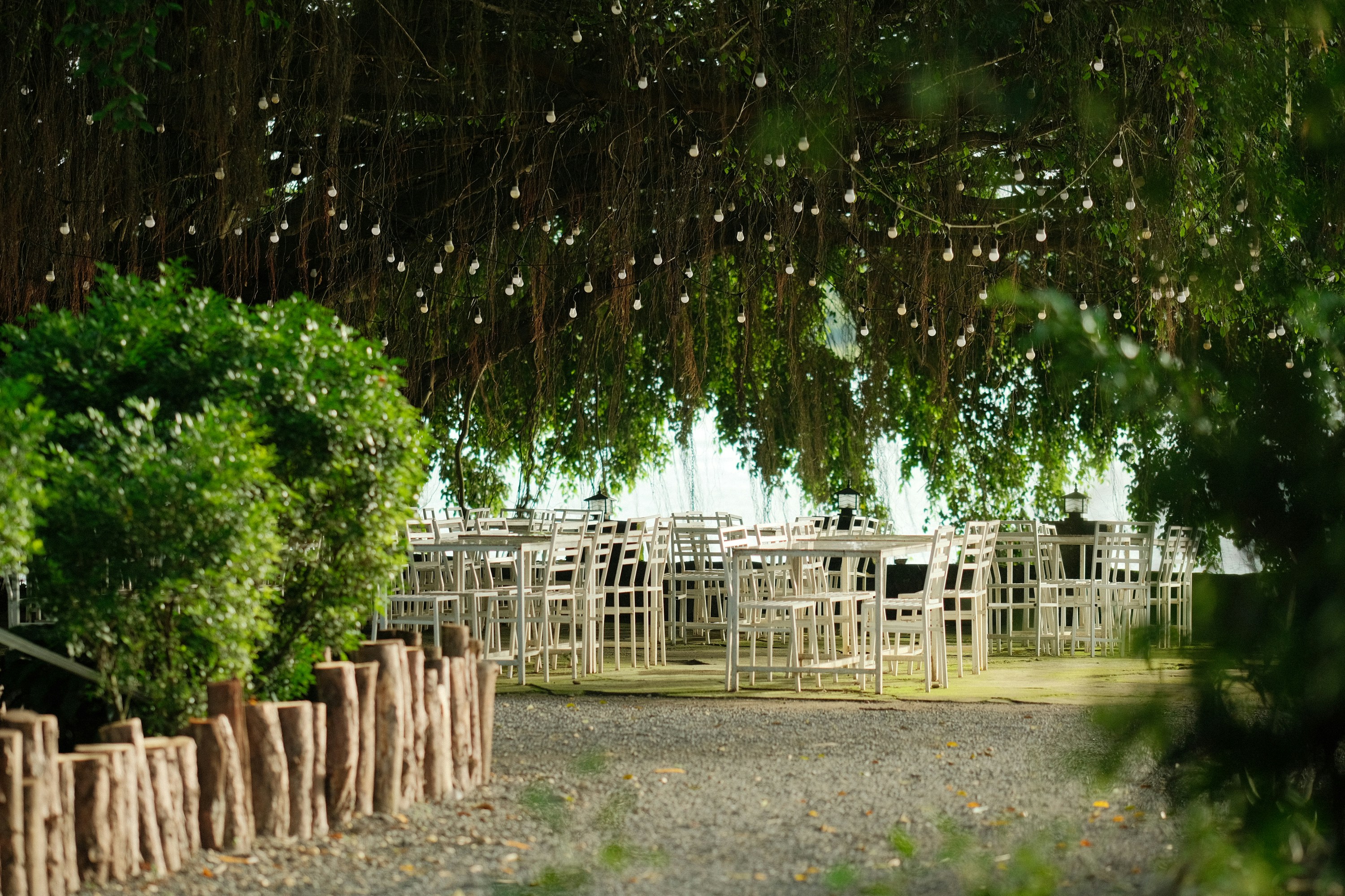rustic barn wedding, nature, ilustrasi artikel Freshly Wed: Delicious Farm-to-Table Catering Ideas for Your Big Day 5