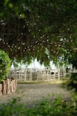 A serene outdoor setting featuring rows of white chairs and tables arranged under a dense canopy of lush greenery. Delicate string lights hang overhead, creating a whimsical atmosphere. The ground is a mix of gravel and grass, bordered by a rustic row of wooden logs.