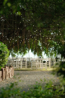 A serene outdoor reception area with wooden tables, fairy lights, and lanterns nestled among tall trees.