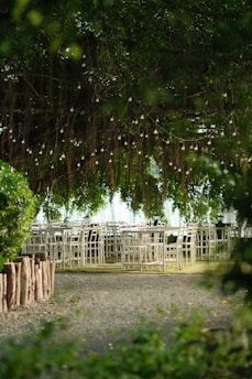 A serene outdoor setting featuring rows of white chairs and tables arranged under a dense canopy of lush greenery. Delicate string lights hang overhead, creating a whimsical atmosphere. The ground is a mix of gravel and grass, bordered by a rustic row of wooden logs.