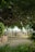 A serene outdoor setting featuring rows of white chairs and tables arranged under a dense canopy of lush greenery. Delicate string lights hang overhead, creating a whimsical atmosphere. The ground is a mix of gravel and grass, bordered by a rustic row of wooden logs.