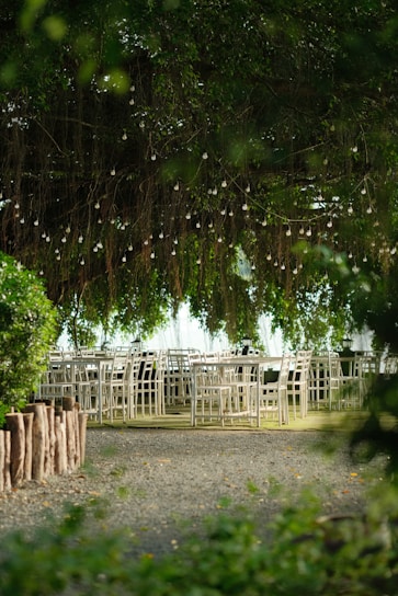 A serene outdoor setting featuring rows of white chairs and tables arranged under a dense canopy of lush greenery. Delicate string lights hang overhead, creating a whimsical atmosphere. The ground is a mix of gravel and grass, bordered by a rustic row of wooden logs.
